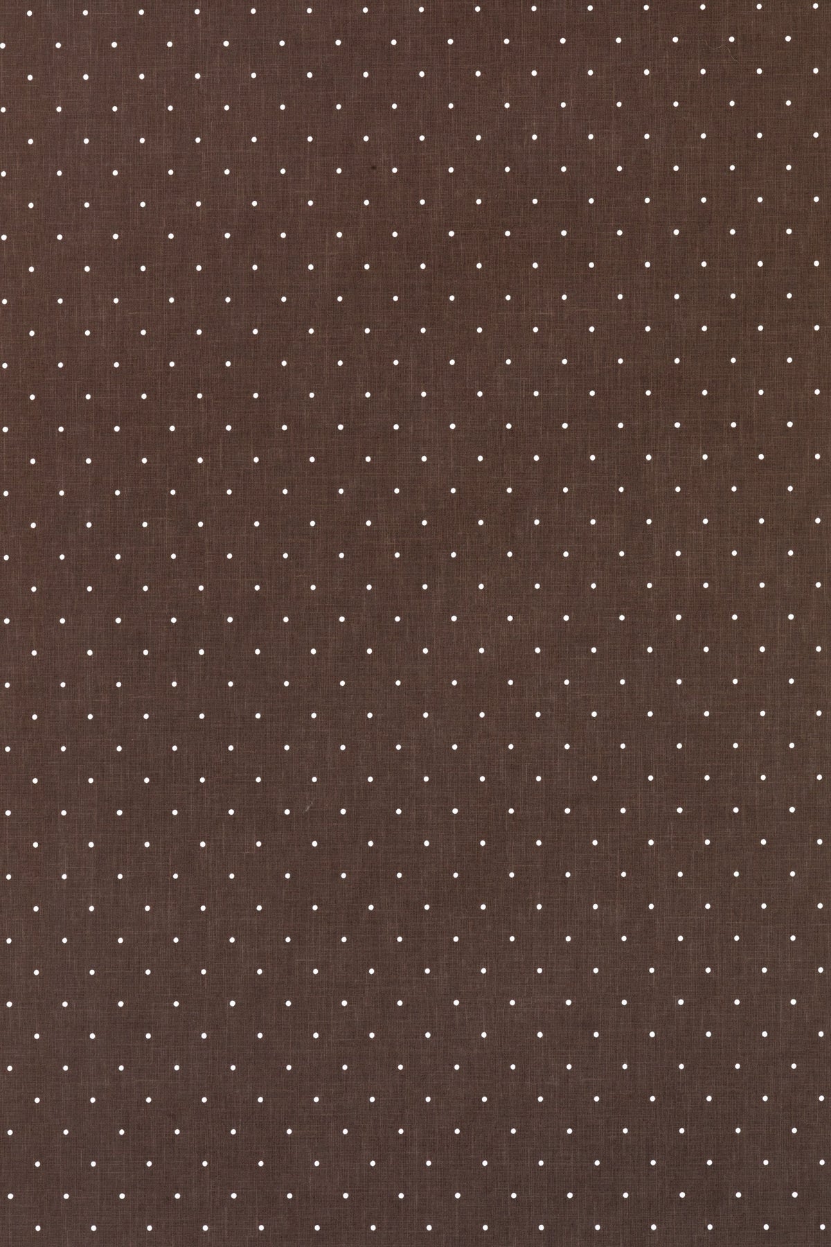 DOTTY