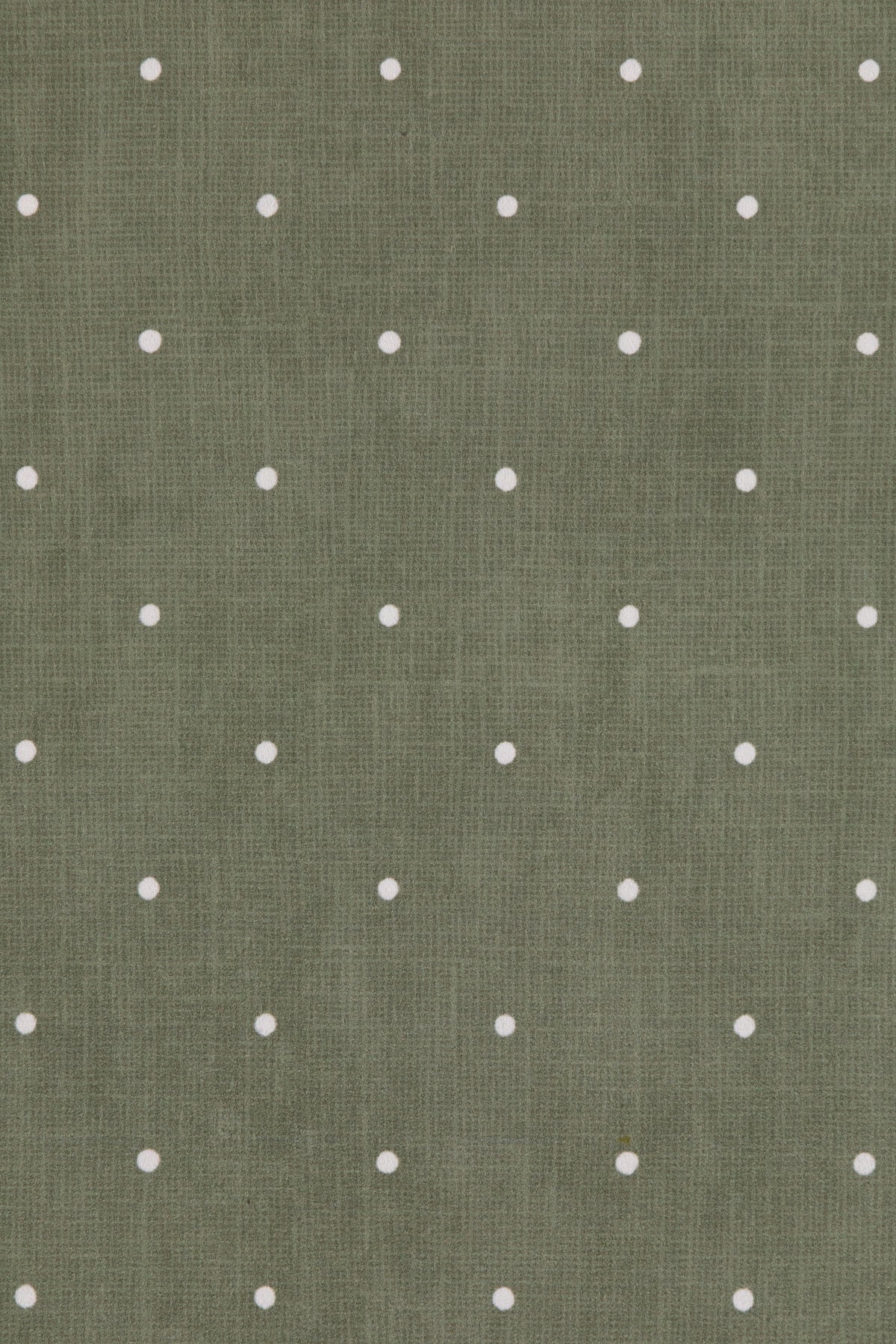 DOTTY