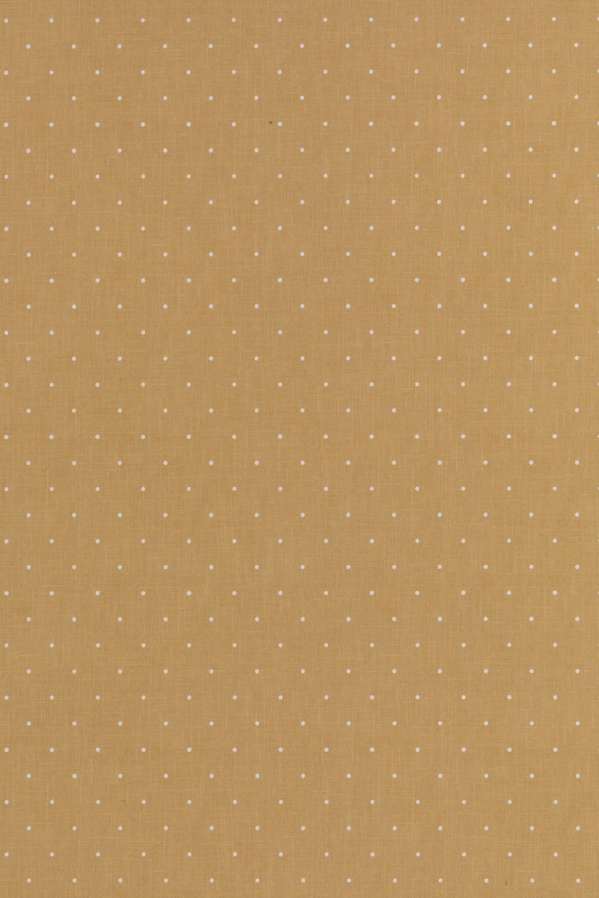 DOTTY