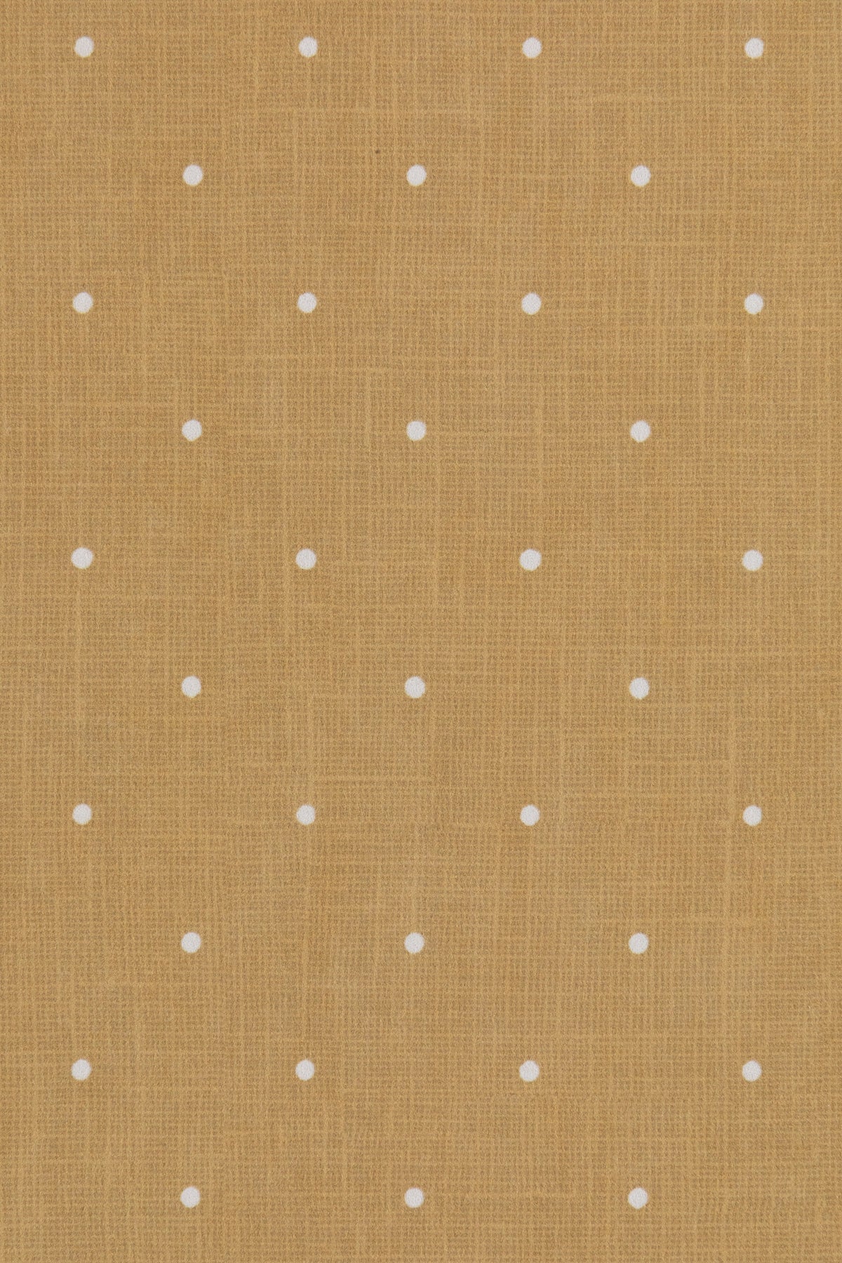 DOTTY