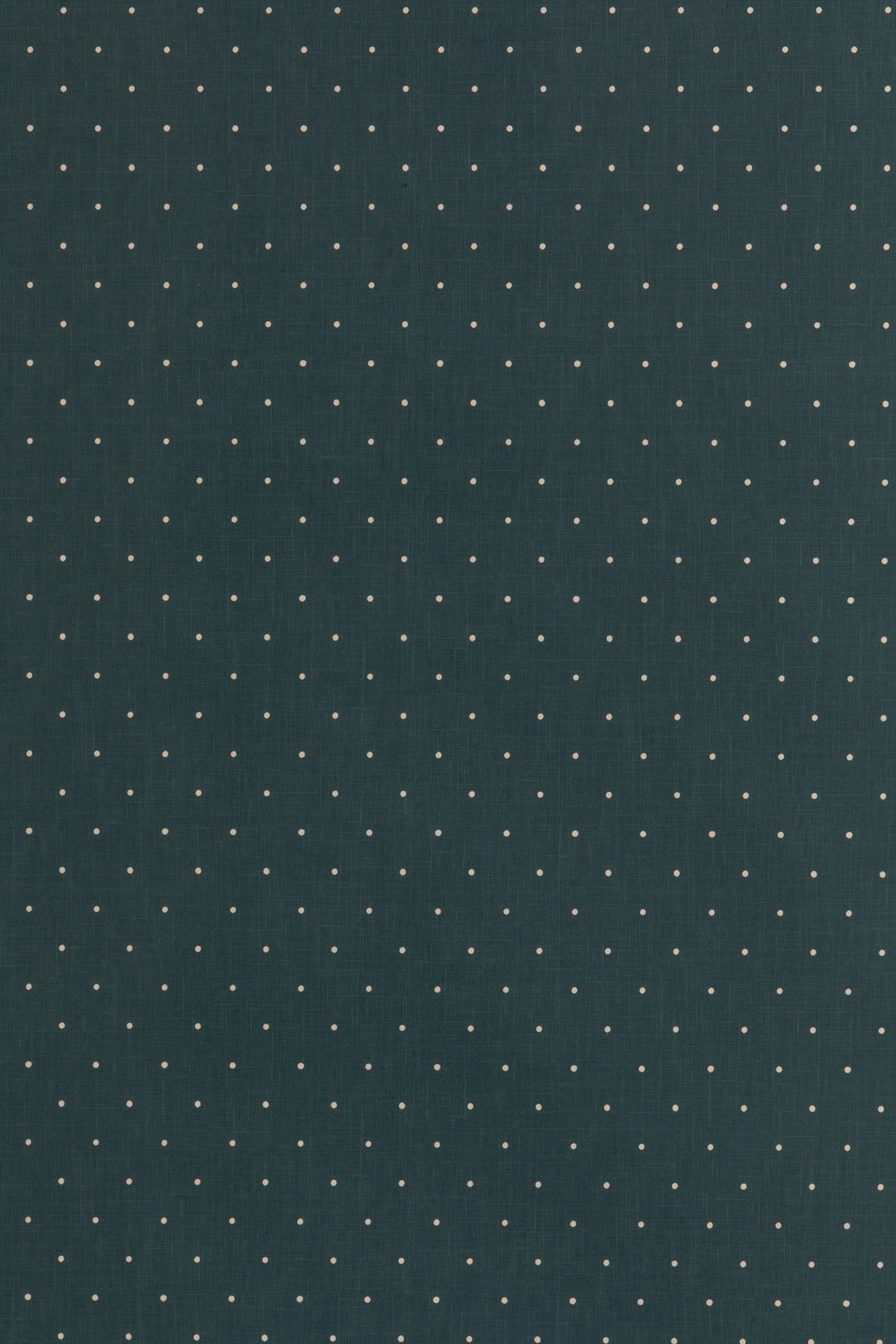 DOTTY