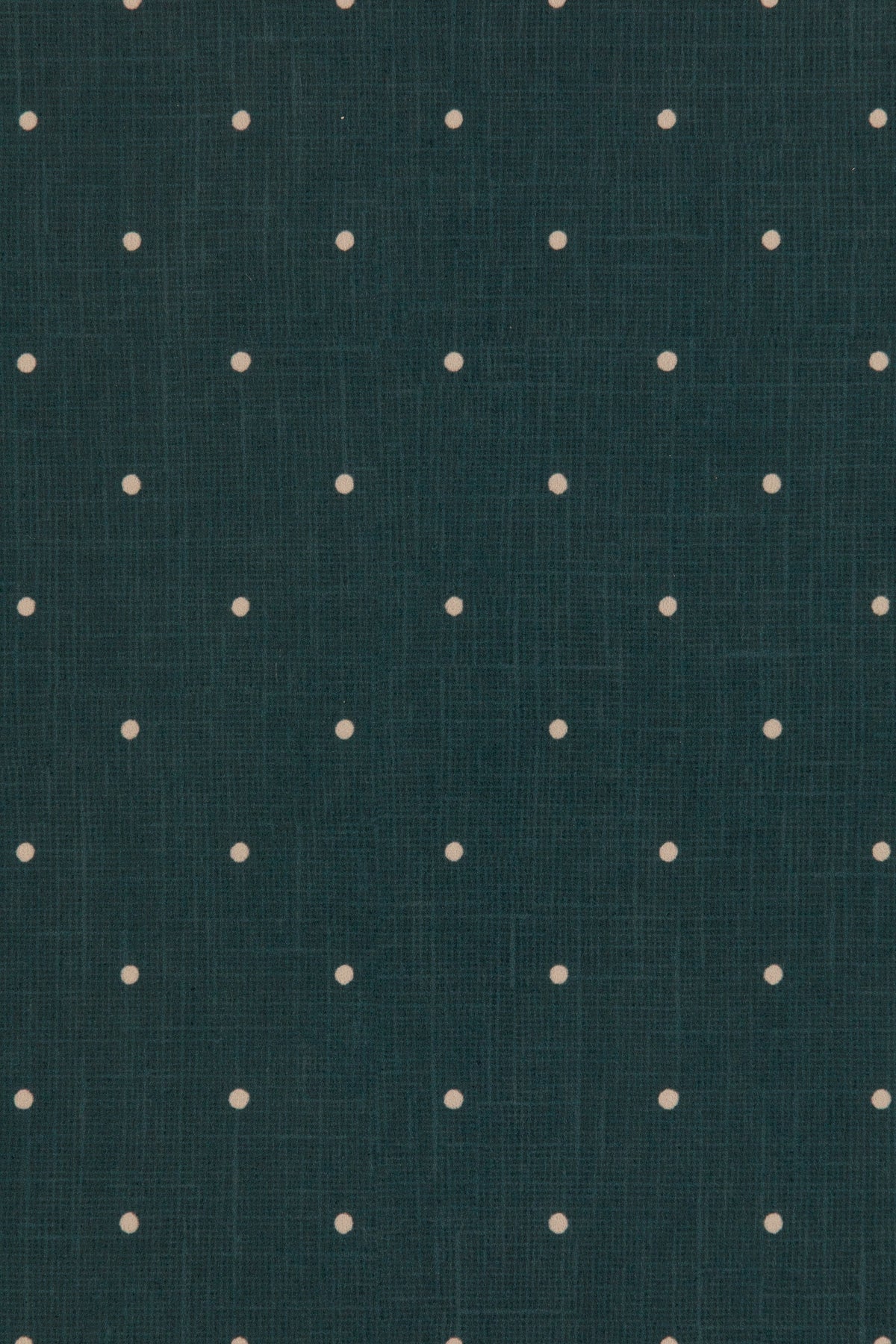 DOTTY